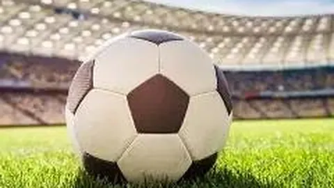 开云体育app优惠 产品 092540 eya